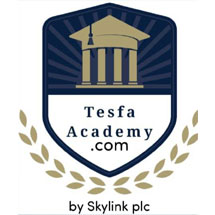 tesfa academy